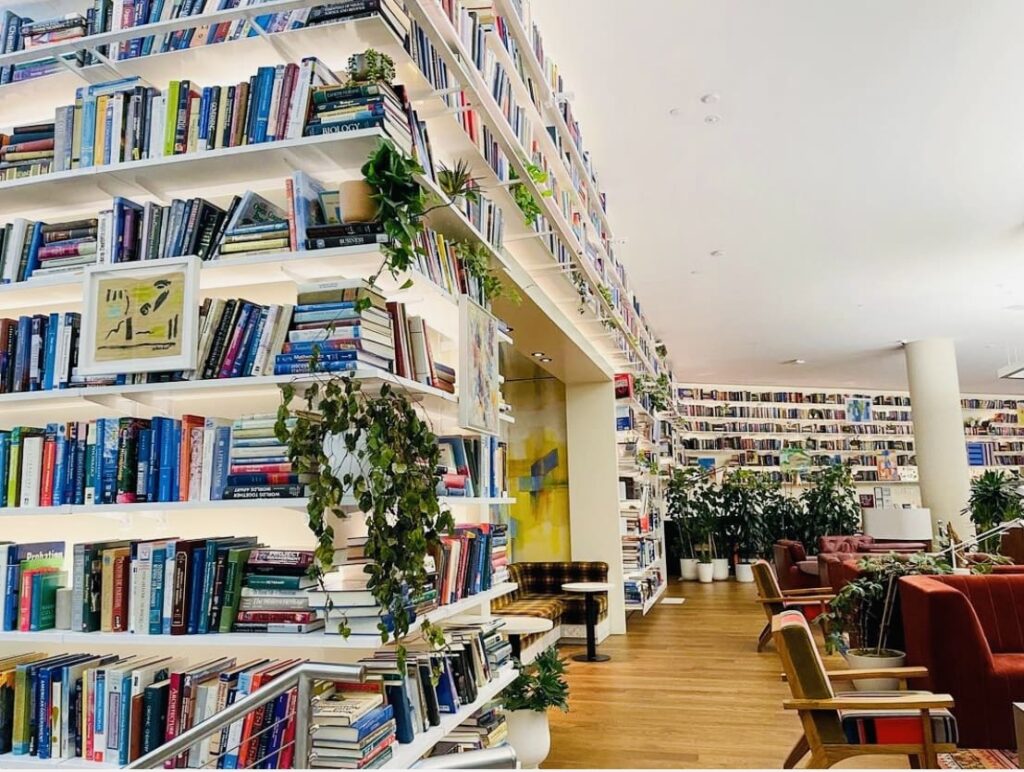 Cozy bookstore with shelves full of books and plants.